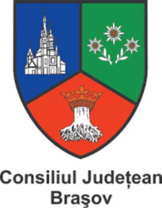 Logo Consiliul Judetean Brasov