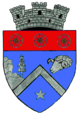 Logo Primaria Comarnic