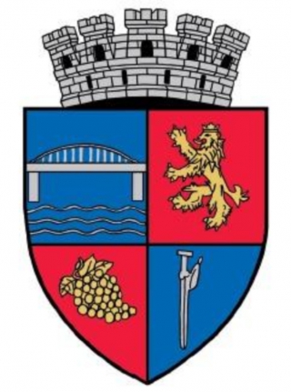 Logo Primaria Medgidia