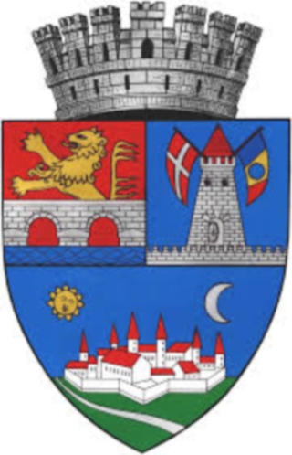 Logo Primaria Timisoara