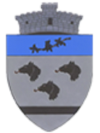 Logo Primaria Valcanesti